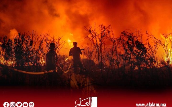الوكالة الوطنية للمياه والغابات تحذر من ارتفاع خطر حرائق الغابات بعدد من أقاليم المملكة
