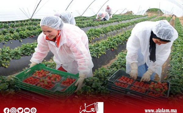 السكوري: ارتفاع عدد العاملات المغربيات في الضيعات الإسبانية إلى أكثر من 15 ألفا سنويا