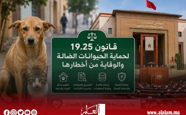 مجلس المستشارين يقر قانون حماية الحيوانات الضالة بالأغلبية.. إطار جديد لتعزيز السلامة العامة والرفق بالحيوان