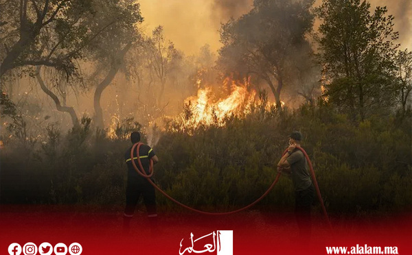 بعدما التهمت آلاف الهكتارات.. عودة حرائق الغابات تسائل نجاعة الخطة الوطنية المبكرة