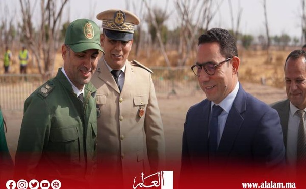 بعد سنوات من الإهمال.. انطلاق إعادة تشجير 67 هكتارًا بغابة بوحمام في سيدي بنور