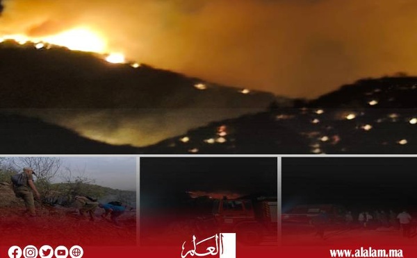 السلطات ومتطوعون ينجحون في إخماد حريق غابة أيت مصاد بتيموليلت