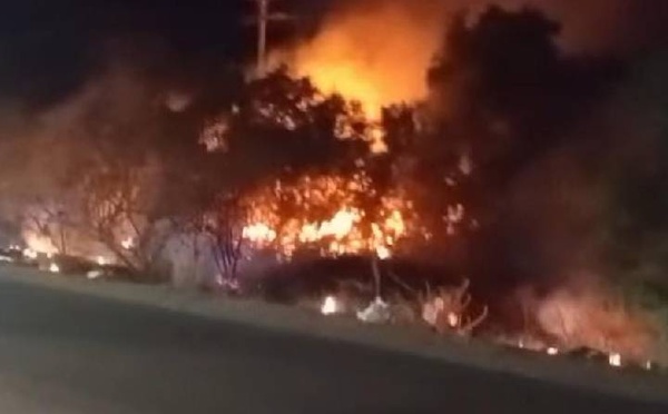 ​اندلاع حريق بالقرب من "القنطرتين" بين إمزورن وأتروكوت.. والسلطات تتدخل لإخماد النيران