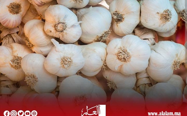 المكتب التنفيذي لفدرالية منتجي الثوم بالمغرب تنوه بقرار وزارتي الفلاحة والصناعة والتجارة