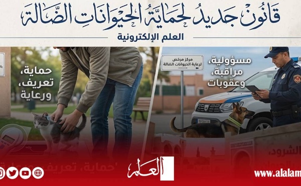 قانون الحيوانات الضالة يدخل حيز التنفيذ.. غرامات تصل إلى 30 مليون سنتيم وعقوبات حبسية للمخالفين