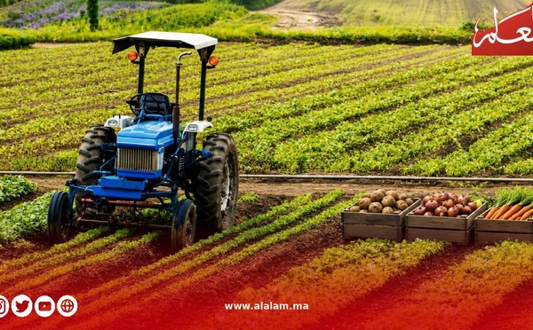بعد سنوات الجفاف.. زراعة الخضروات تنتعش بجهة الدار البيضاء-سطات وتتجاوز البرنامج المسطر