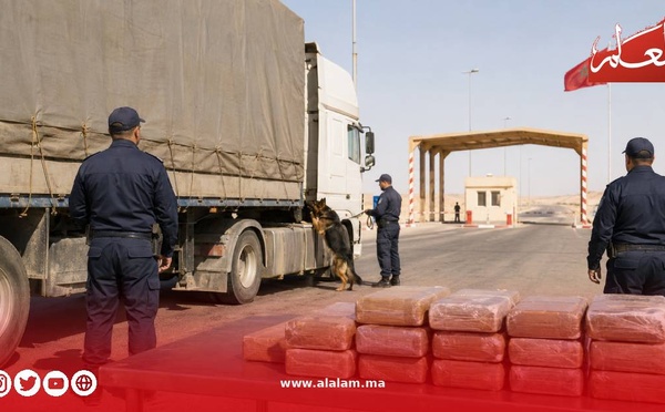 كلاب الشرطة تُسقط شحنة كوكايين تتجاوز 75 كيلوغرامًا بالكركارات