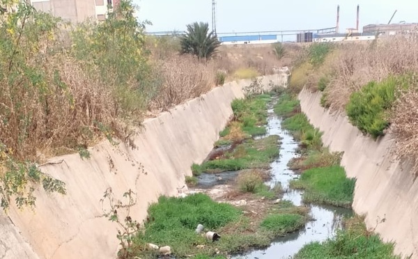 هل يتدخل عامل الجديدة تفاعلا مع ملتمس لساكنة متضررة؟