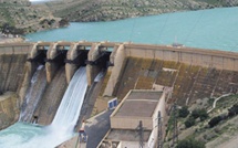 حقينة السدود تتنفس الصعداء والفلاحة المغربية تنتعش بفضل التساقطات الأخيرة