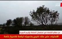 إقليم الصويرة.. شخص نافذ يحول بقعة أرض غابوية في ملكيته الخاصة