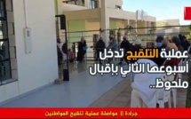 بالفيديو: عملية التلقيح تدخل أسبوعها الثاني بإقبال ملحوظ بجرادة