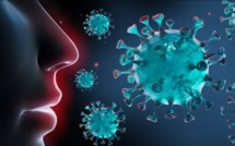 اكتشاف سلالة جديدة من فيروس كورونا بتونس لم يشهدها العالم