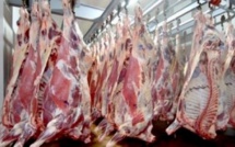 تقرير.. سطات تنتج حوالي 20 ألف طن من اللحوم الحمراء سنويا