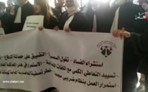 بالفيديو: محامو الرباط يحتجون