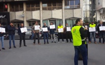 مهنيو النقل السياحي بالبيضاء يدخلون في اعتصام مفتوح