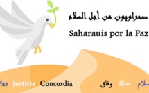 حركة صحراويون من أجل السلام تدعو للحوار وتجنب إهدار الفرص