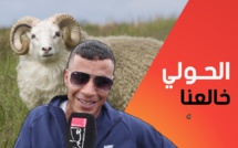 ميكرو تروتوار: "ما عندنا باش نشريو الحولي"