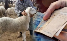 هواجس ارتفاع أسعار أضاحي العيد تقلق المغاربة