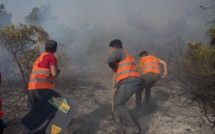 من تحت الرّماد... انبعاث جديد للشمال