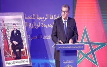 أخنوش.. ورش التحول الرقمي من أولويات الحكومة