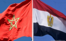 وهبي يجري مباحثات مع نظيره المصري لتعزيز التعاون في مجال العدل