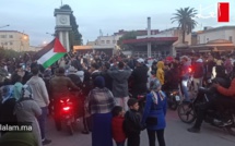 جماهير القصر الكبير تهتز لوصول الأسود إلى المربع الذهبي