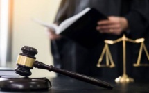 تشيكيطو: مهنة المحاماة باتت تعاني الإقطاعية والتدجين