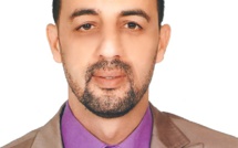 وبه نستعين.. قطة العسكر