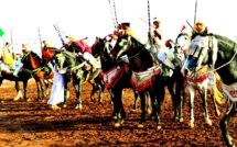 الجديدة.. اختتام فعاليات خامس نسخة من مهرجان سيدي امحمد الطيبي