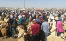 وجدة: "الشناقة" يتحكمون في أسعار السوق وآخرون يحتالون في غياب المراقبة