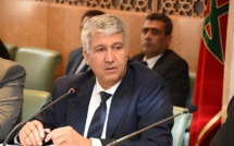 الصديقي يكشف عن ضياع ملايين الشتائل الغابوية 