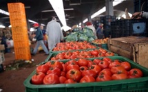 المغرب يرفض الرضوخ لضغوط المزارعين الفرنسيين