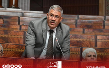 برلماني يطالب باختصاصات تقريرية لغرف الصناعة التقليدية