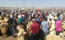 رغم قرار الإلغاء.. إقبال على شراء الأضاحي وارتفاع أسعار اللحوم يربك الأسواق