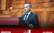 التهراوي يعرض تفاصيل النهوض بالصحة النفسية بمجلس النواب
