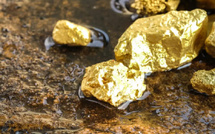 فضيحة الخطأ المطبعي.. شركة تعدين تخفض مردودية ذهب كلميم من 300 إلى 30 غراما فقط