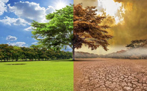 دراسة حديثة: الاحتباس الحراري يؤثر في توزيع الأمطار والثلوج