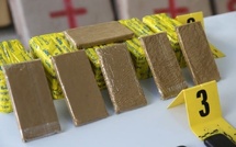 توقيف مروج للمخدرات بتارودانت