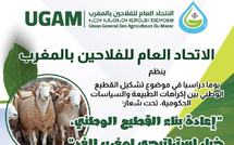 الاتحاد العام للفلاحين يتدارس ملف إعادة تشكيل القطيع الوطني