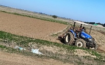 انطلاق التحضيرات للموسم الفلاحي في سهل الغرب وسط آمال كبيرة في الأمطار