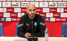 الركراكي يطفئ نار الشك ويعلنها بثقة: لا ضغوط على الأسود والكان موعد للتركيز وطرد المخاوف