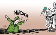 رسالة مفتوحة إلى الجزائر