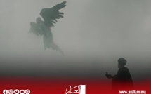 مؤسسة الدوحة للأفلام تعلن عن 57 مشروعاً من 46 بلداً ضمن دورة منح الخريف 2025