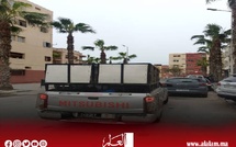 حملة لجمع الكلاب الضالة بأحد أحياء سلا استجابة سريعة وتفاعل إيجابي مع شكايات الساكنة