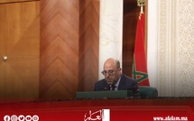 ولد الرشيد: المغرب يتوفر على خارطة طريق واضحة لتعزيز العدالة الاجتماعية والمجالية