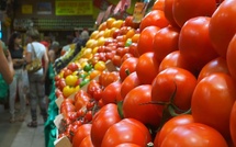 مراقبة الجودة والأسعار خلال شهر رمضان بمدينة الجديدة