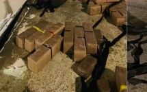 إحباط تهريب 490 كيلوغراما من الشيرا بميناء طنجة المتوسط وإيقاف سائق شاحنة