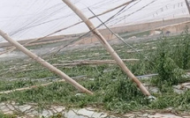 بعد العاصفة الرملية… إجراءات حكومية عاجلة لإنقاذ فلاحي اشتوكة أيت باها