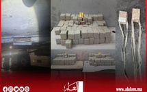 إحباط محاولة تهريب 181 كيلوغرام من مخدر الشيرا بميناء طنجة المتوسط